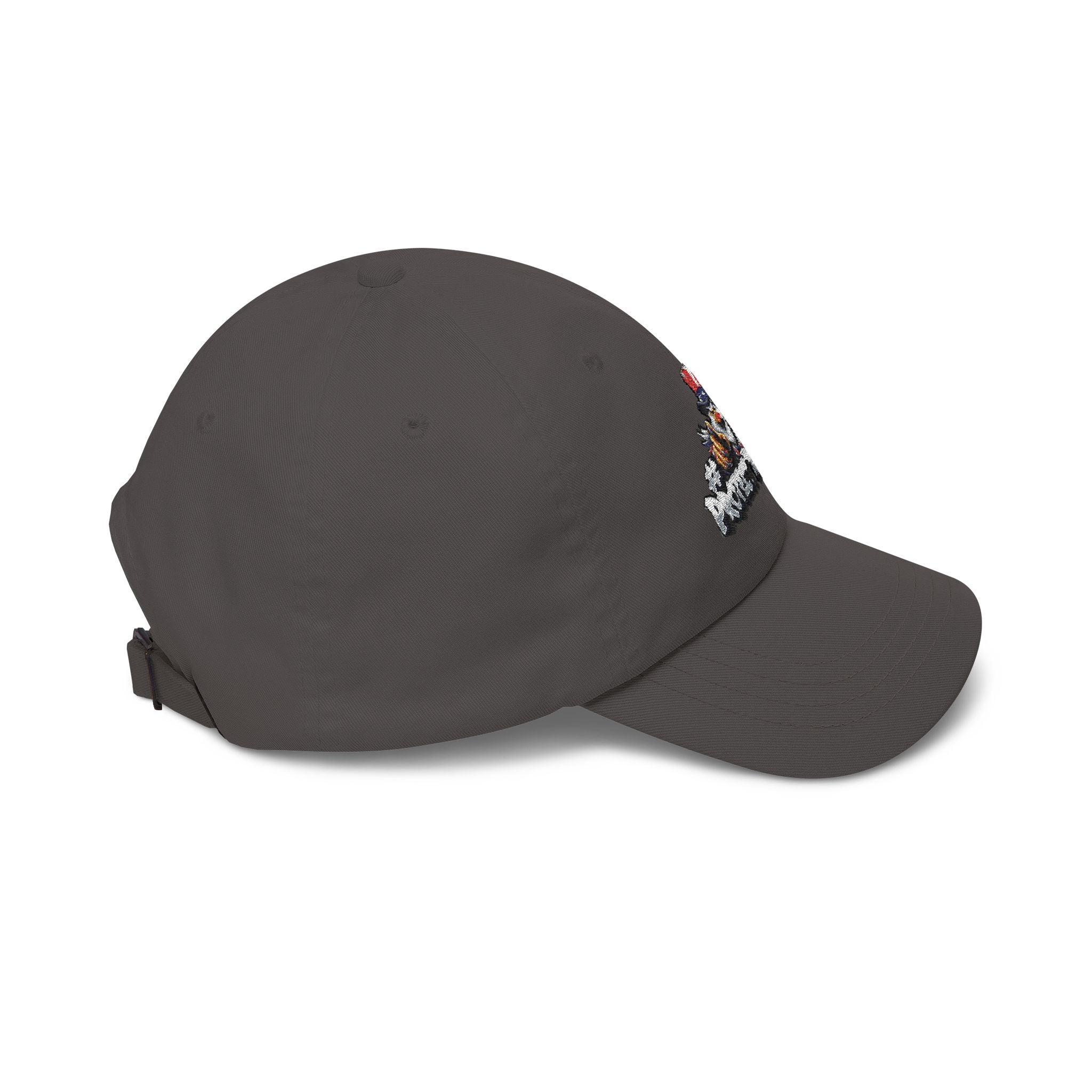 Protect The Bird Dad Cap — Patriotic Uncle Sam Bird Baseball Hat