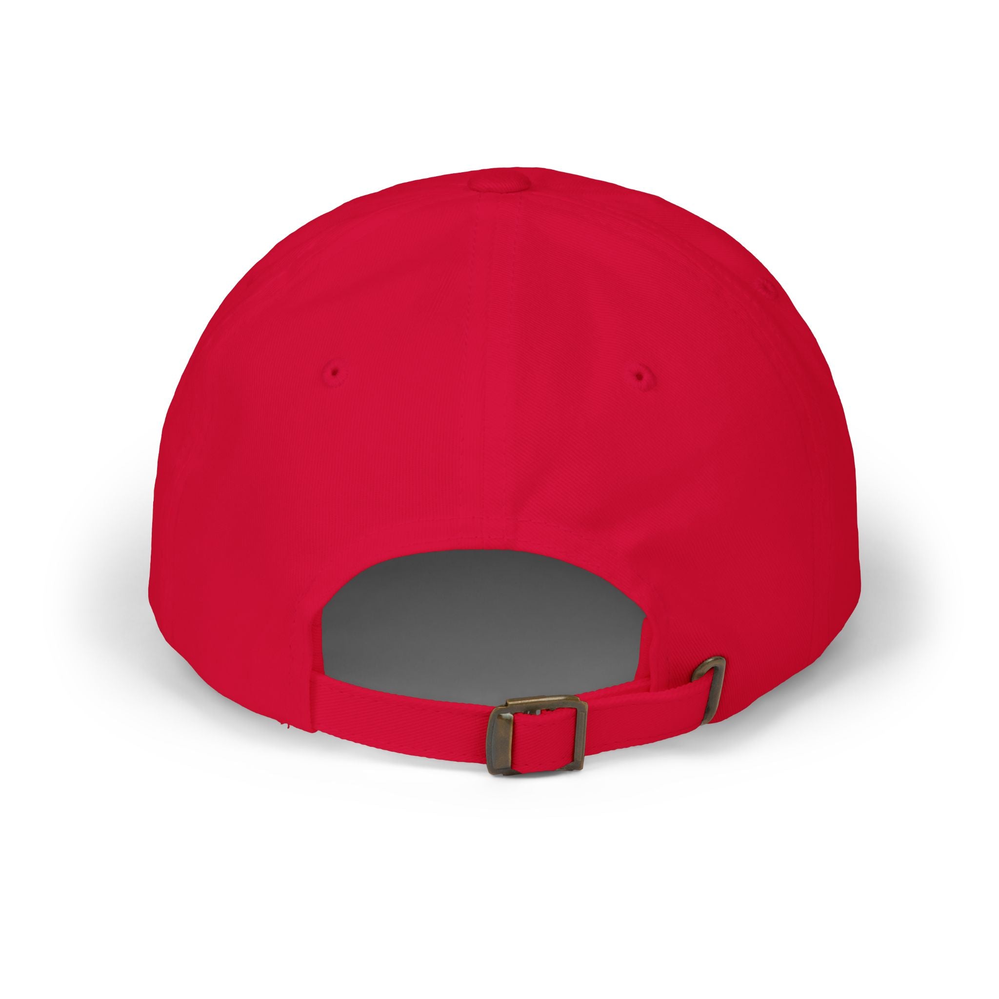 Protect The Bird Dad Cap — Patriotic Uncle Sam Bird Baseball Hat