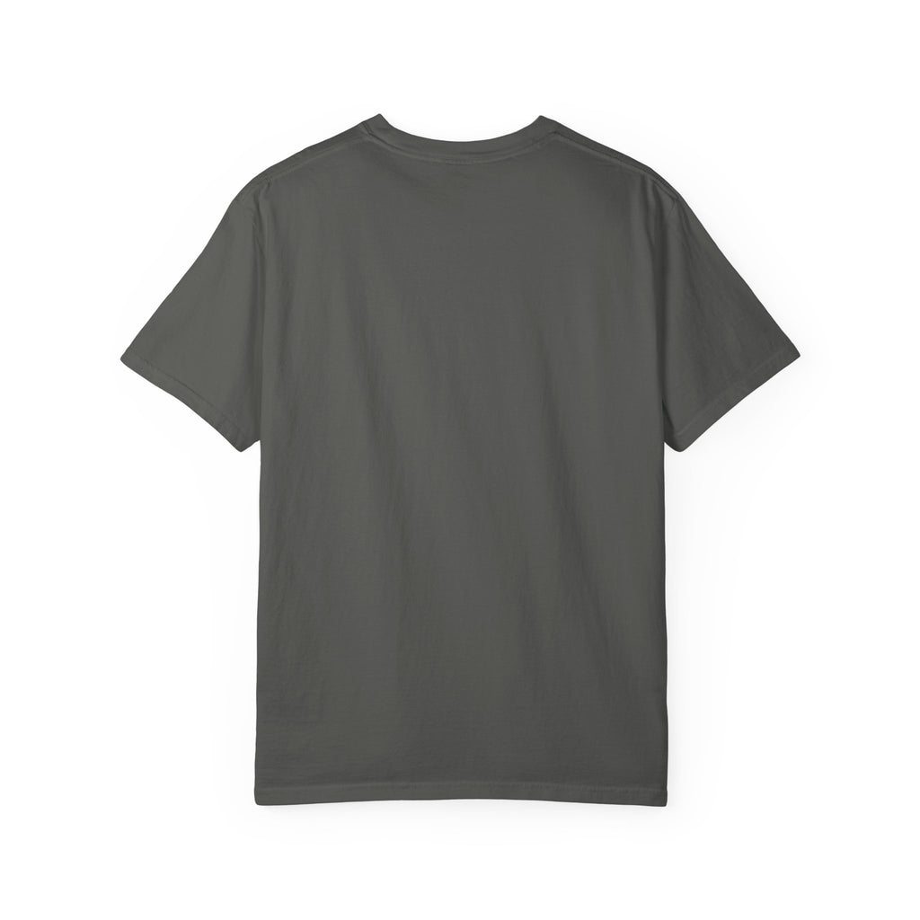 Protect the Bird T-Shirt — Patriotic Eagle Graphic Tee