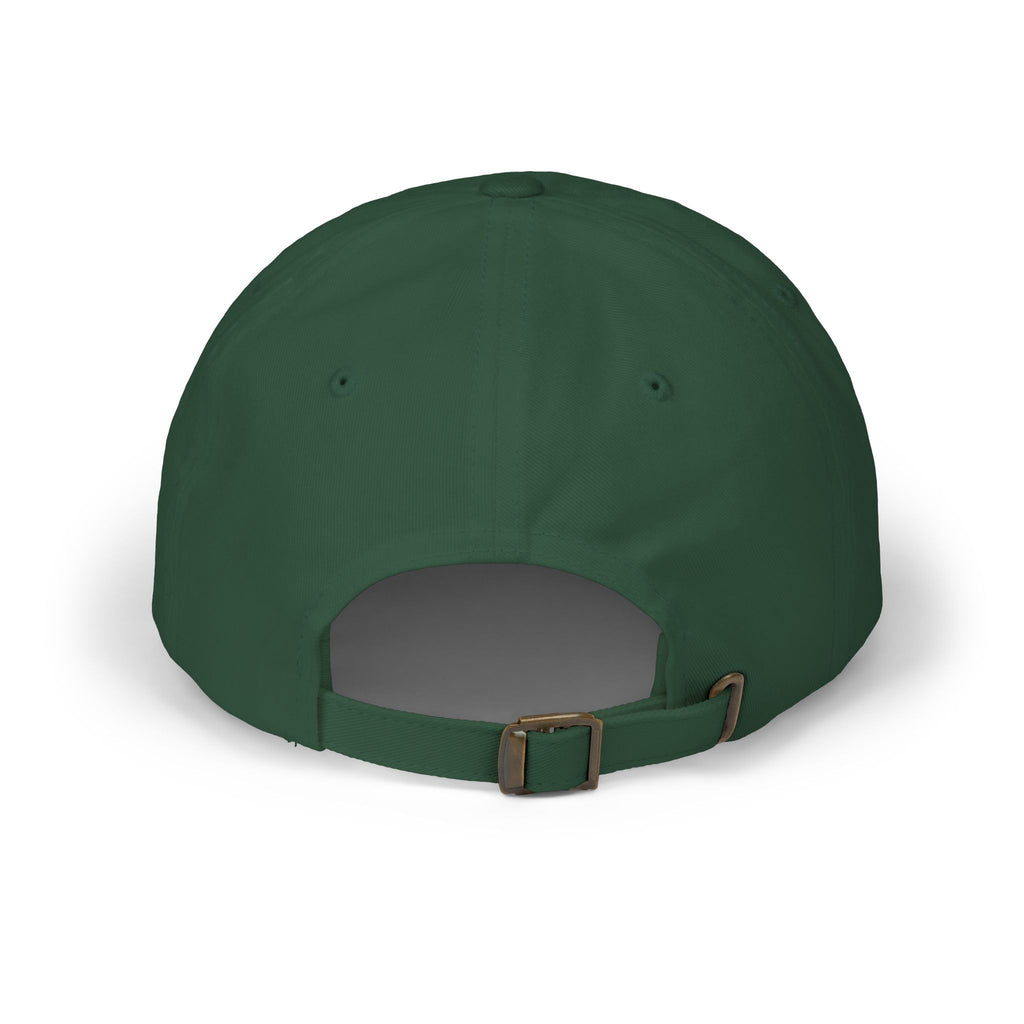 Protect The Bird Dad Cap — Patriotic Uncle Sam Bird Baseball Hat