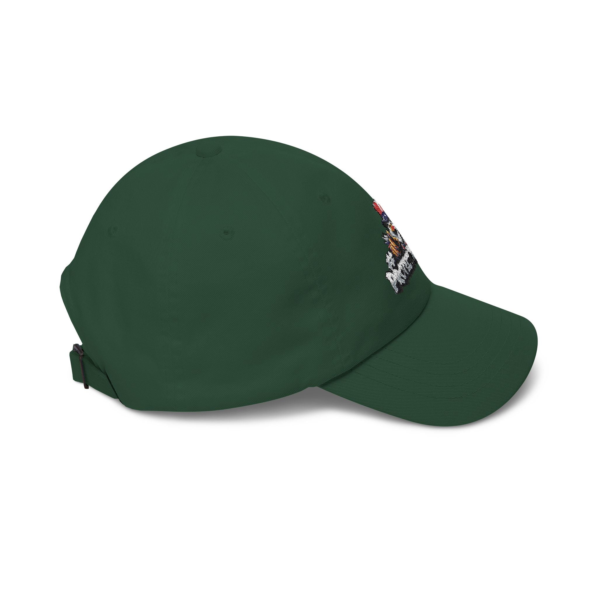 Protect The Bird Dad Cap — Patriotic Uncle Sam Bird Baseball Hat